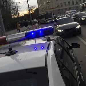 美女马狗性交小说
