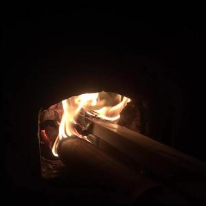 美女马狗性交小说
