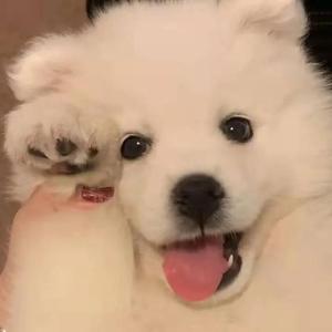 美女马狗性交小说
