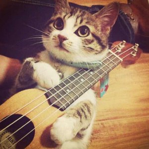 美女马狗性交小说
